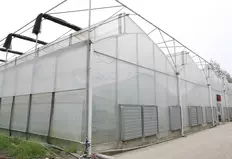 Фермерская теплица